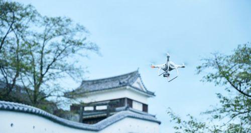 MySQL数据库打开文件太多导致mysqldump出错的解决